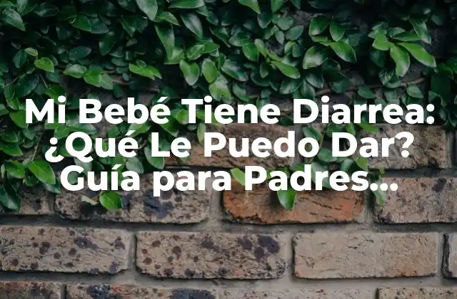 Mi Bebé Tiene Diarrea: ¿qué Le Puedo Dar? Guía para Padres Preocupados