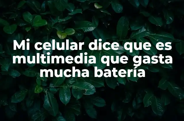 Mi Celular Dice que es Multimedia que Gasta Mucha Batería