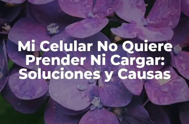 Mi Celular No Quiere Prender ni Cargar: Soluciones y Causas