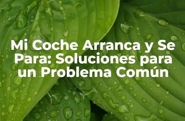 ¿Qué Causa que Mi Coche Arranque y Se Pare?