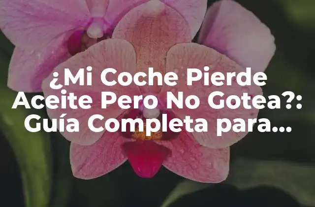 ¿mi Coche Pierde Aceite pero No Gotea?: Guía Completa para Diagnosticar el Problema