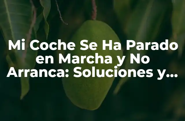 Mi Coche Se Ha Parado en Marcha y No Arranca: Soluciones y Consejos