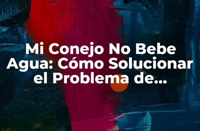 Mi Conejo No Bebe Agua: Cómo Solucionar el Problema de Hidratación en Tu Mascota