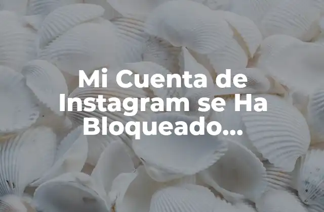Mi Cuenta de Instagram Se Ha Bloqueado Temporalmente: ¿qué Hacer?