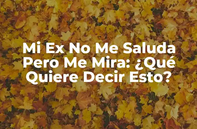 Mi Ex No Me Saluda pero Me Mira: ¿qué Quiere Decir Esto?