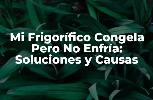 Causas Comunes de que el Frigorífico Congele pero no Enfríe