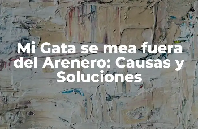 Mi Gata Se Mea Fuera Del Arenero: Causas y Soluciones