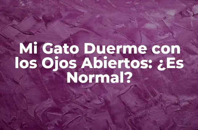 Mi Gato Duerme con los Ojos Abiertos: ¿es Normal?