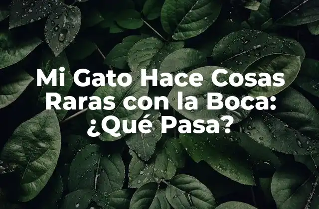 Mi Gato Hace Cosas Raras con la Boca: ¿qué Pasa?