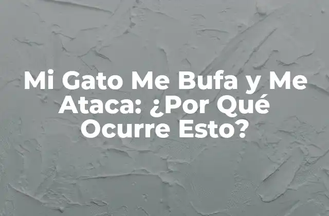 ¿Qué es el Bufido en los Gatos?
