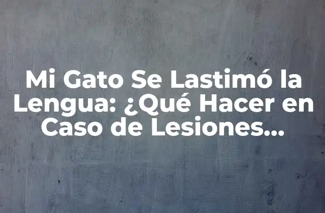 Mi Gato Se Lastimó la Lengua: ¿qué Hacer en Caso de Lesiones Linguales en Felinos?