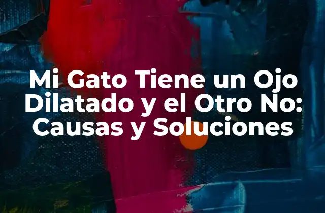 Mi Gato Tiene un Ojo Dilatado y el Otro No: Causas y Soluciones