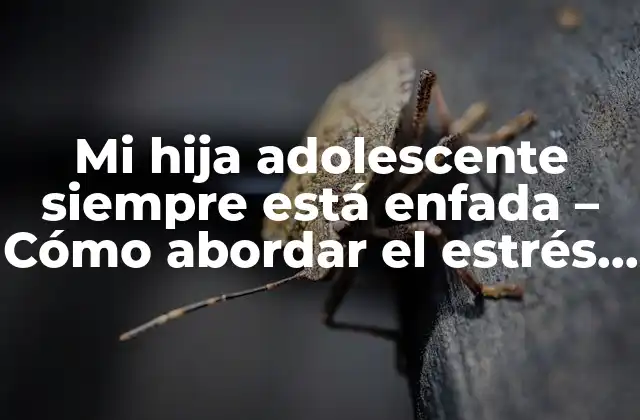 Mi Hija Adolescente Siempre Está Enfada – Cómo Abordar el Estrés y la Ira en Adolescentes