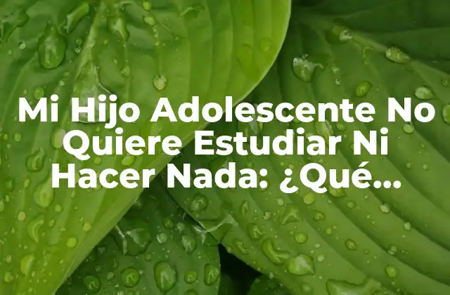 Mi Hijo Adolescente No Quiere Estudiar ni Hacer Nada: ¿qué Puedo Hacer?