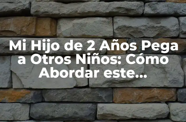 Mi Hijo de 2 Años Pega a Otros Niños: Cómo Abordar Este Comportamiento