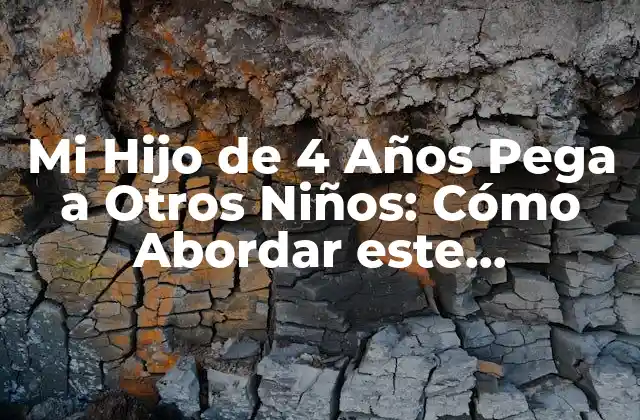 Mi Hijo de 4 Años Pega a Otros Niños: Cómo Abordar Este Comportamiento 2 Causas de la Agresividad en Niños de 4 Años