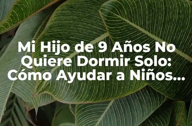 Mi Hijo de 9 Años No Quiere Dormir Solo: Cómo Ayudar a Niños con Miedo a la Oscuridad