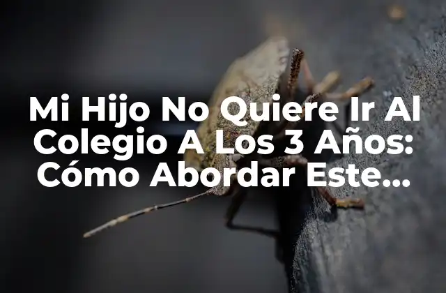 Mi Hijo No Quiere Ir Al Colegio a los 3 Años: Cómo Abordar Este Desafío