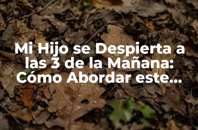 Causas Comunes de que Mi Hijo se Despierta a las 3 de la Mañana