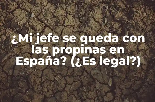 ¿mi Jefe Se Queda con las Propinas en España? (¿es Legal?)