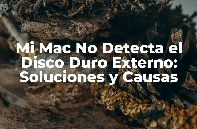 Mi Mac No Detecta el Disco Duro Externo: Soluciones y Causas