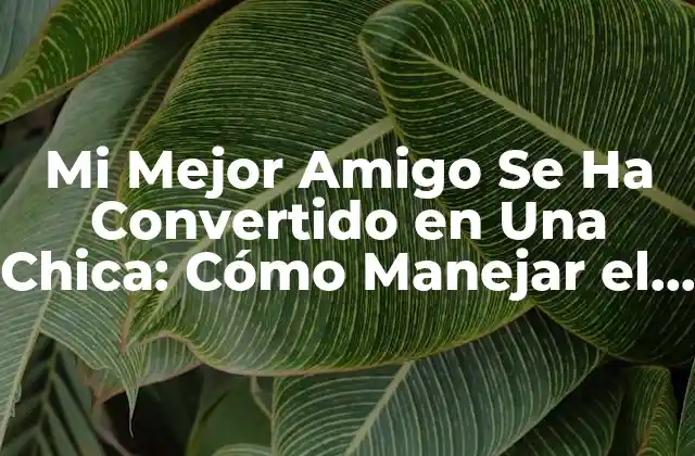 Entendiendo la Transición de Género