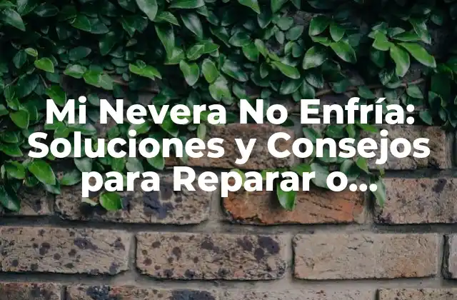 Mi Nevera No Enfría: Soluciones y Consejos para Reparar o Reemplazar Su Refrigerador