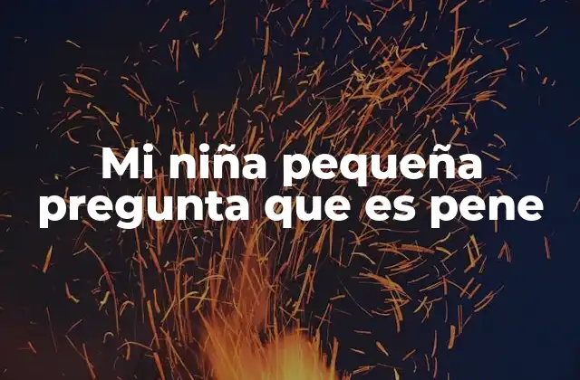 Mi Niña Pequeña Pregunta que es Pene