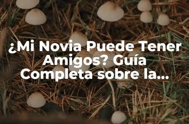 ¿mi Novia Puede Tener Amigos? Guía Completa sobre la Libertad de Relaciones