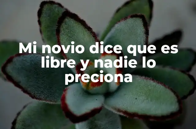 Mi Novio Dice que es Libre y Nadie Lo Preciona