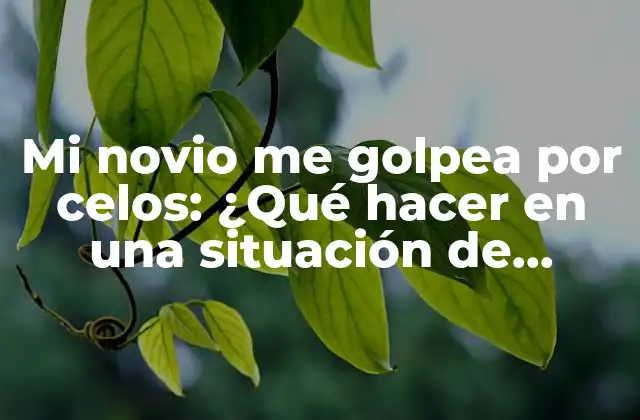 Mi Novio Me Golpea por Celos: ¿qué Hacer en una Situación de Violencia Doméstica?