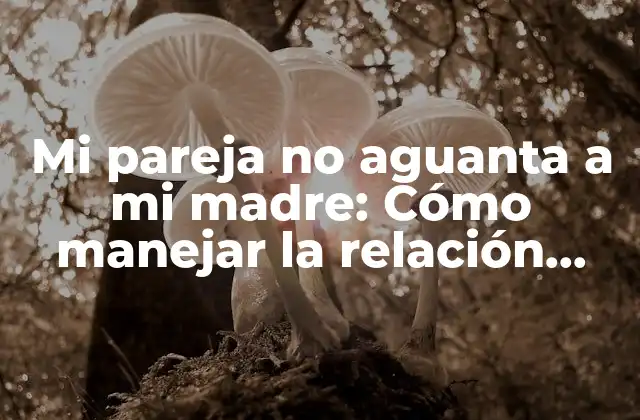 Mi Pareja No Aguanta a Mi Madre: Cómo Manejar la Relación entre Tu Pareja y Tu Familia