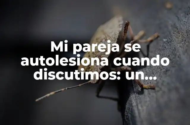 Mi Pareja Se Autolesiona Cuando Discutimos: un Problema Complejo