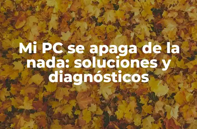 Mi Pc Se Apaga de la Nada: Soluciones y Diagnósticos 2 Causas comunes de que una PC se apague de la nada