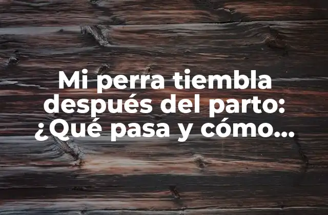 Mi Perra Tiembla Después Del Parto: ¿qué Pasa y Cómo Ayudar?