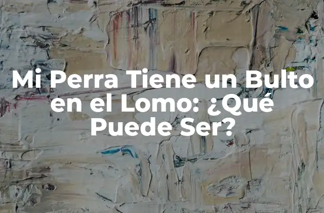 Mi Perra Tiene un Bulto en el Lomo: ¿qué Puede Ser?