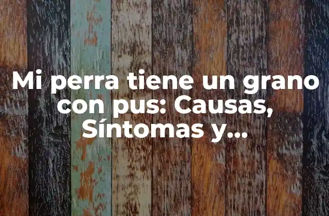 Mi Perra Tiene un Grano con Pus: Causas, Síntomas y Tratamiento