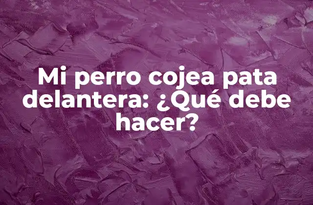 Mi Perro Cojea Pata Delantera: ¿qué Debe Hacer? 2 Causas Comunes de la Cojera en la Pata Delantera de tu Perro