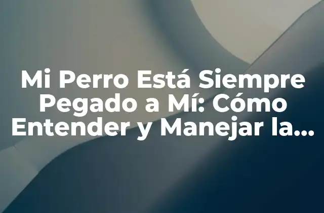 Mi Perro Está Siempre Pegado a Mí: Cómo Entender y Manejar la Ansiedad de Separación en Perros
