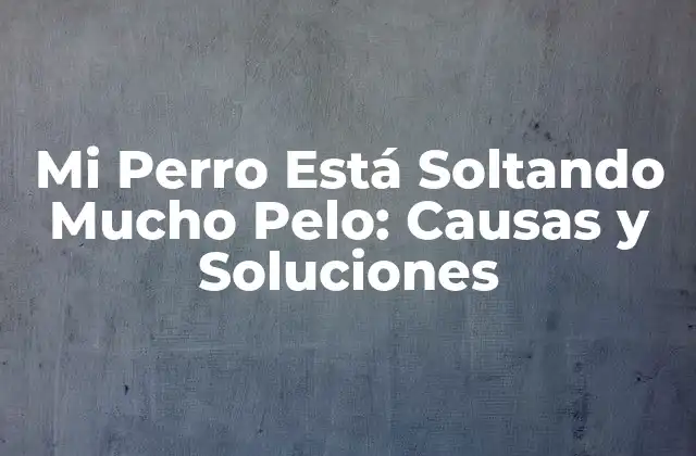 Mi Perro Está Soltando Mucho Pelo: Causas y Soluciones