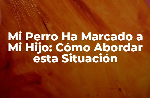 Mi Perro Ha Marcado a Mi Hijo: Cómo Abordar Esta Situación