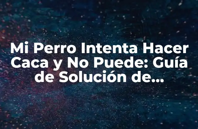 Mi Perro Intenta Hacer Caca y No Puede: Guía de Solución de Problemas para Dueños de Mascotas