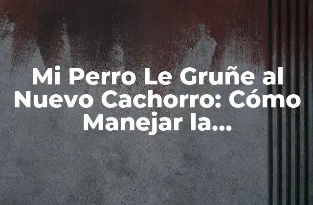 Mi Perro Le Gruñe Al Nuevo Cachorro: Cómo Manejar la Introducción de un Nuevo Miembro a la Familia Canina