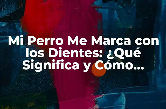 Mi Perro Me Marca con los Dientes: ¿qué Significa y Cómo Manejarlo?