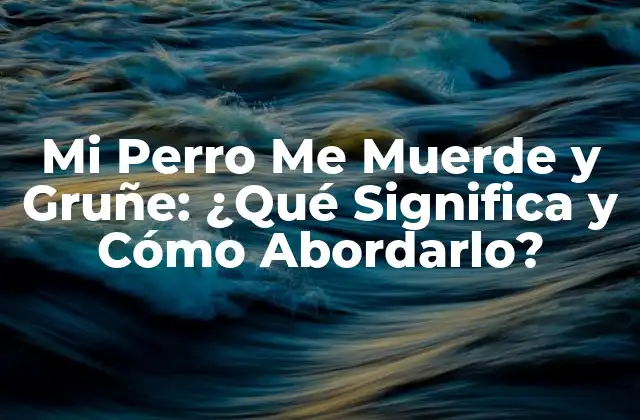 Mi Perro Me Muerde y Gruñe: ¿qué Significa y Cómo Abordarlo?
