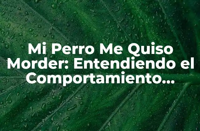 Mi Perro Me Quiso Morder: Entendiendo el Comportamiento Canino