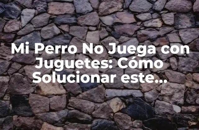 Mi Perro No Juega con Juguetes: Cómo Solucionar Este Problema Común