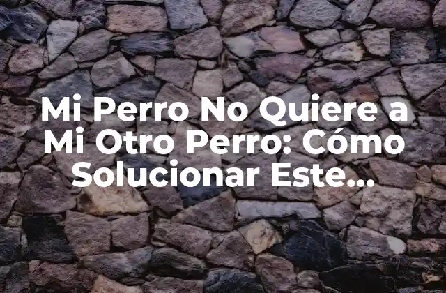 Mi Perro No Quiere a Mi Otro Perro: Cómo Solucionar Este Problema Común