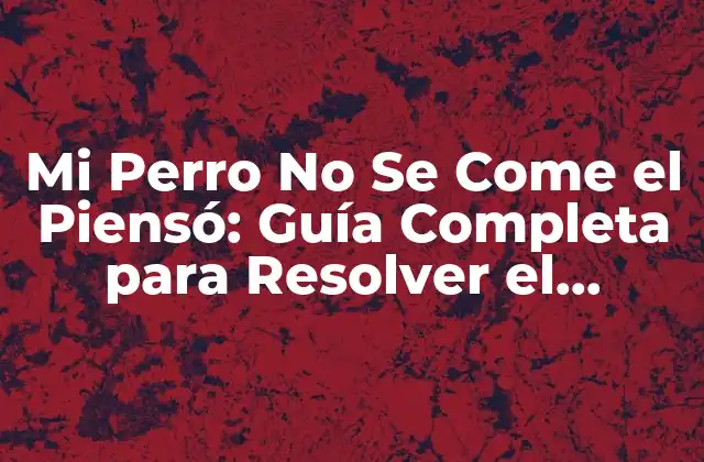 Mi Perro No Se Come el Piensó: Guía Completa para Resolver el Problema