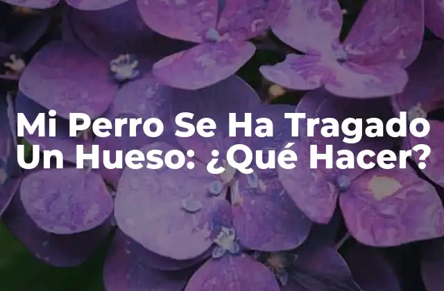 ¿Por Qué Los Perros Se Tragan los Huesos?